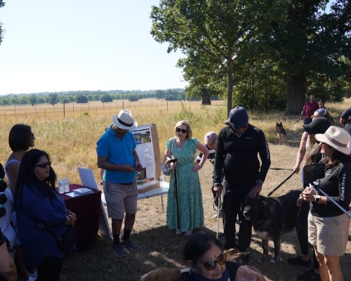 charity-walk-haven-2022-12