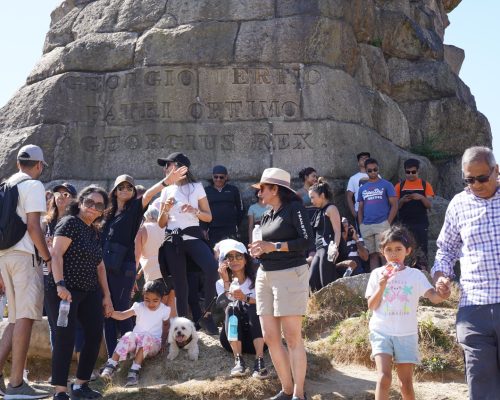 charity-walk-haven-2022-5