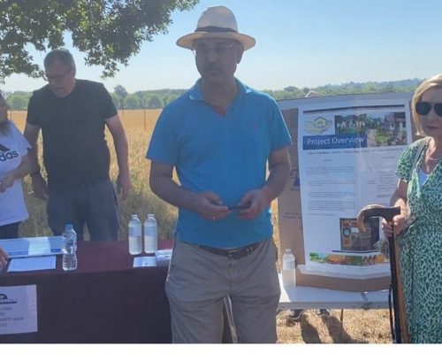 charity-walk-haven-2022